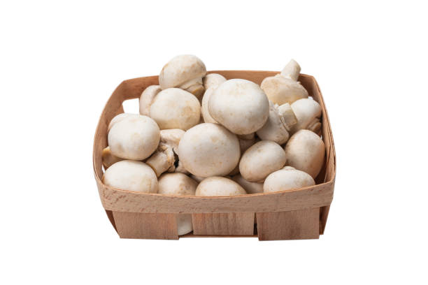 istock Champignon mushroom isolated on white background. 1271467567
