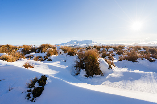 Snow capped Mt Ruapehu, New Zealand.