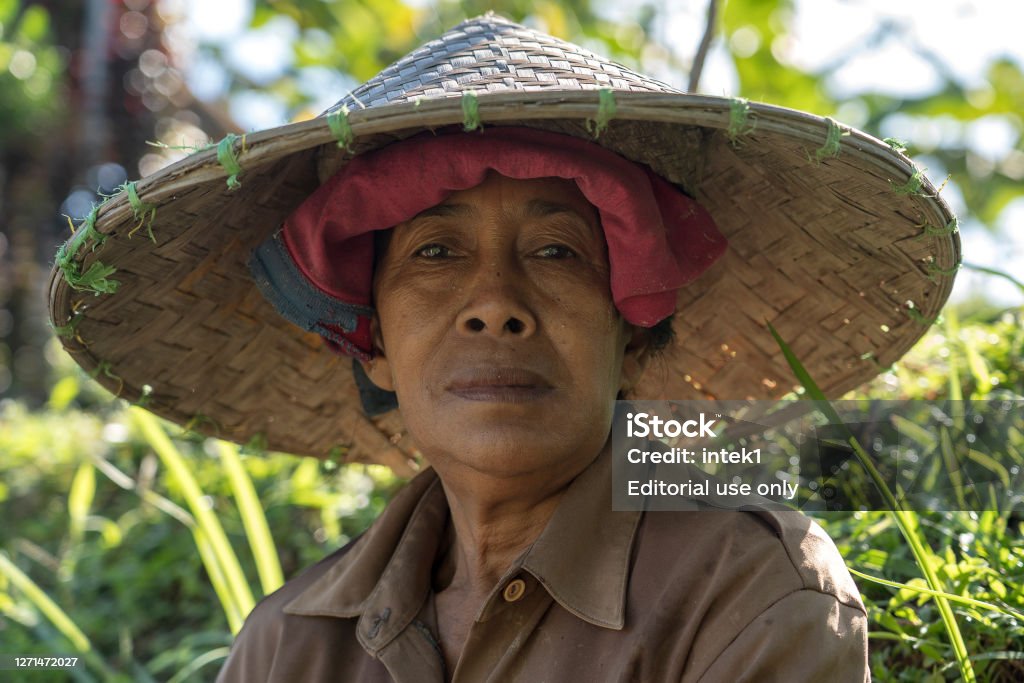 Adgang forvridning genvinde Portrait Of A Indonesian Old Woman Wearing A Straw Hat Near Rice Terrace In  Bali Indonesia Stock Photo - Download Image Now - iStock