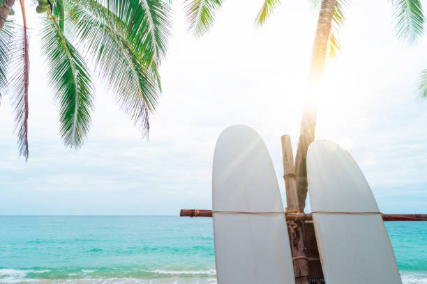 istock Many surfboards beside coconut trees at summer beach with sun light and blue sky background. 1271473078