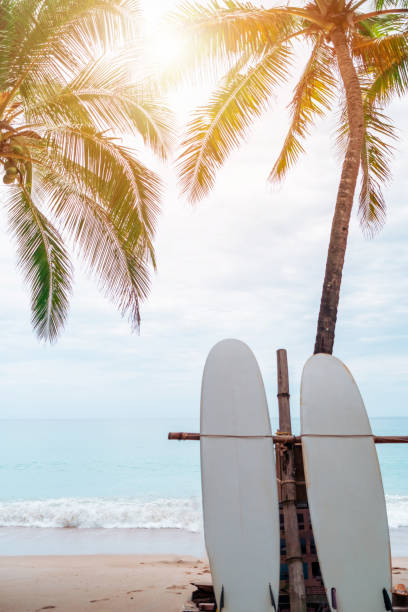 istock Many surfboards beside coconut trees at summer beach with sun light and blue sky background. 1271473114