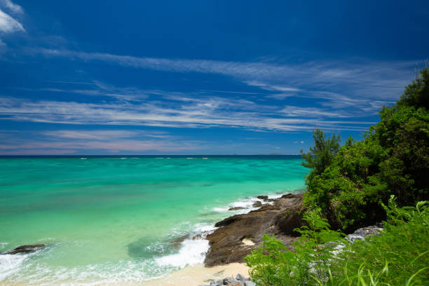 istock Okinawa island beach scene 1271473239