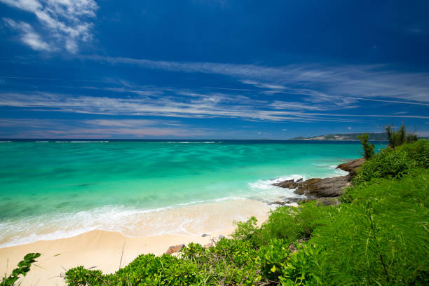 istock Okinawa island beach scene 1271473271