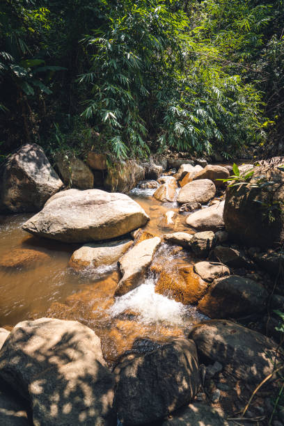 istock Clear streams and rocks during the day 1271474131