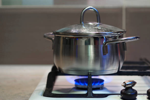 a meal is cooked in a stainless steel pan with a glass lid on a gas stove - blue flame natural gas fireplace imagens e fotografias de stock