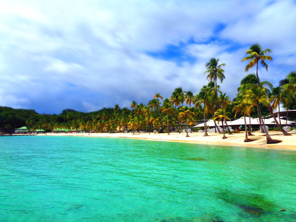 10/10/2018 - Sainte-Anne, GuadeloupeGuadeloupe is a French island in the Caribbean with magnificent beaches, a tropical forest and a volcano.Sainte-Anne is a seaside resort on the Southern shore of Grande-Terre, with the \