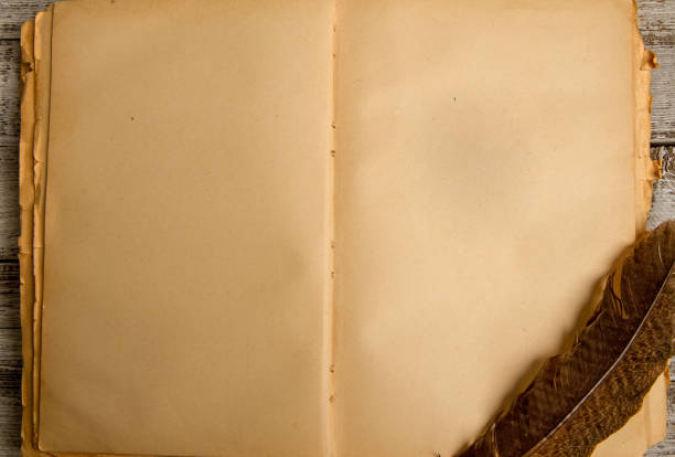 istock Blank the old diary and accessories for writing ink and feather pen 1271474640