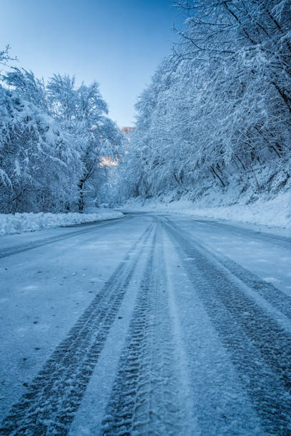istock Snowy road in the forest 1271475800