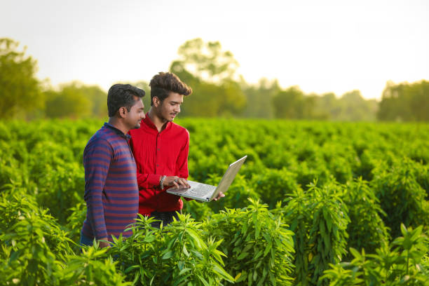 istock young agronomist analyzing field with farmer, indian farming 1271475817