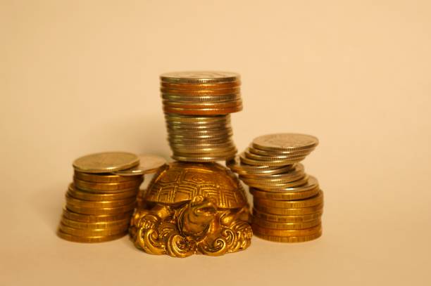 istock Metal turtle with coins on a uniform background. 1271476820