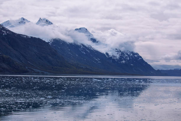 istock Cruise, sailing, alaska, glacier bay, national park 1271479487