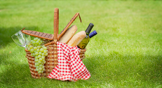 Picnic basket with wine, grape and baguette on garden sunny grass with copy space