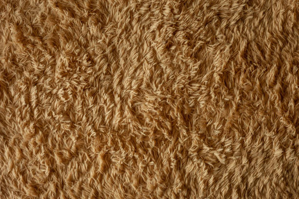 istock Closeup brown carpet for backgrounds and textures 1271484524
