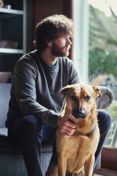 istock If you ever wondered what true loyalty looks like... 1271485882