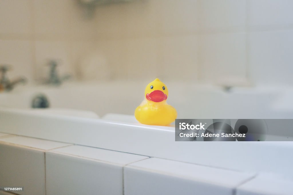 Good hygiene begins at home Shot of a rubber duck sitting on a bathtub at home Rubber Duck Stock Photo