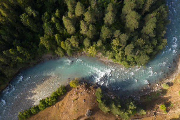 istock Mountain river Arkhyz near coniferous forest 1271488348