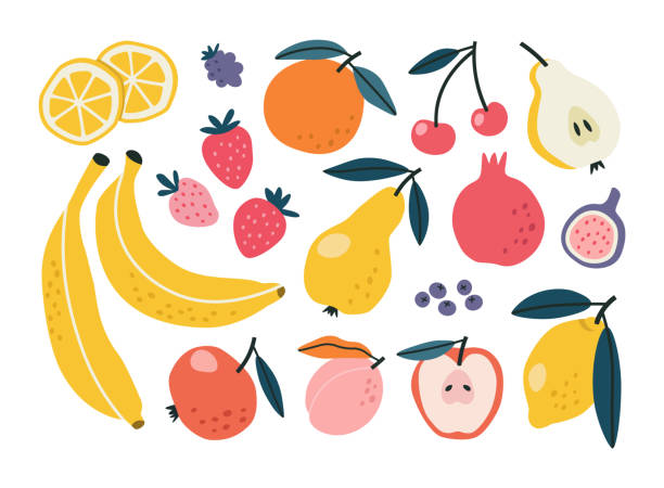 Set with hand drawn fruit doodles. Set with hand-drawn fruit doodles. Flat tropical set of banana, apple, pear, peach, strawberry, lemon, cherry, fig, pomegranate, and some berries. Vector illustration. fruit drawings stock illustrations