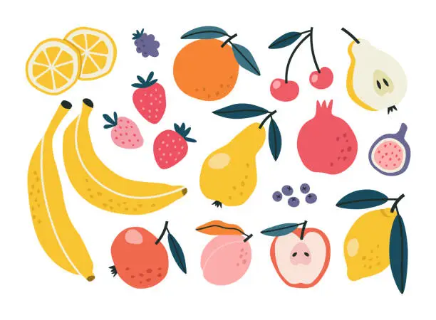 Vector illustration of Set with hand drawn fruit doodles.