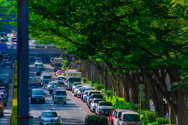 ein stadtbild an der omotesando allee in tokio weit geschossen - omotesando hills stock-fotos und bilder