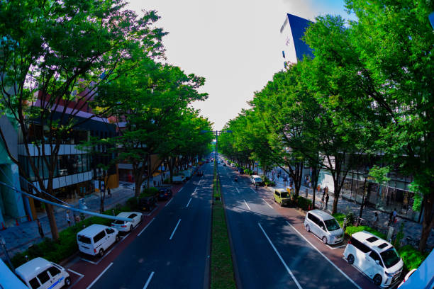 ein stadtbild an der omotesando avenue in tokio fisheye erschossen - omotesando hills stock-fotos und bilder