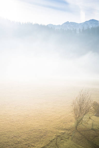 istock Alpine mountains in a fog 1271491405