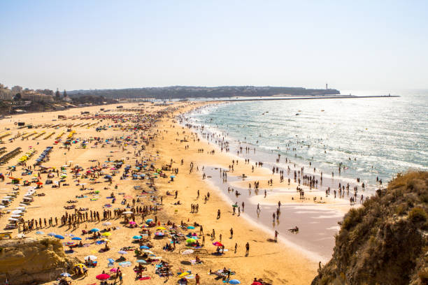 istock Rocha Beach, Portimao, Portugal 1271492307
