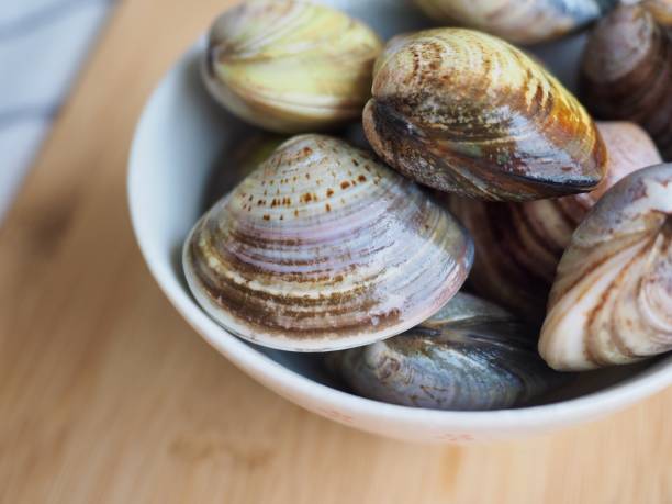 istock Fresh clams in a ceramic bowl 1271492808