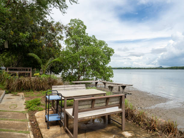 istock Summer Picnic table at the shore with mangrove swamp behind 1271494538