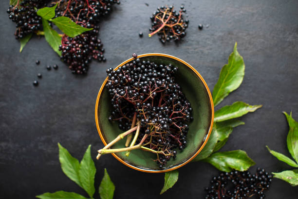 Raw ripe elderberry in a bowl standing on a dark table Raw ripe elderberry in a bowl standing on a dark table, top down view elderberry photos stock pictures, royalty-free photos & images