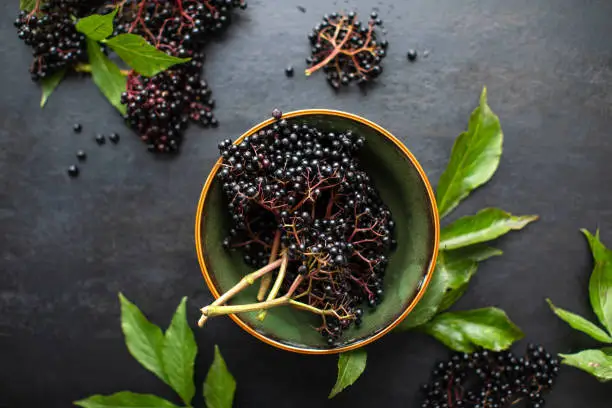 Raw ripe elderberry in a bowl standing on a dark table, top down view