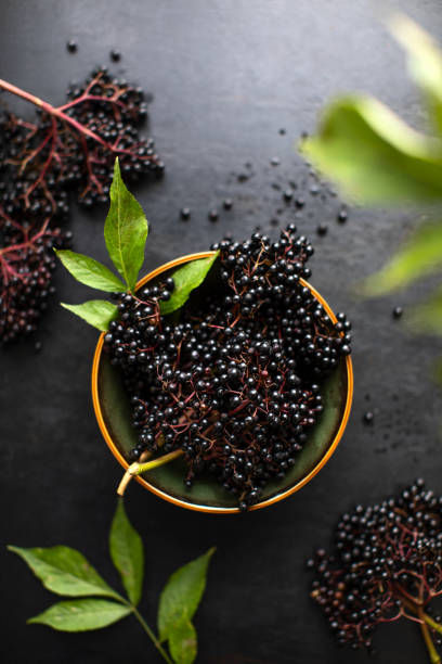 istock Raw ripe elderberry in a bowl standing on a dark table 1271495925