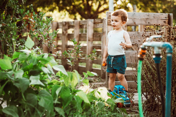 Family Harvesting Vegetables From Their Small Home Garden