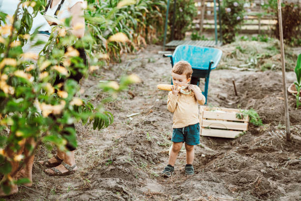 istock Family gardening together 1271500728