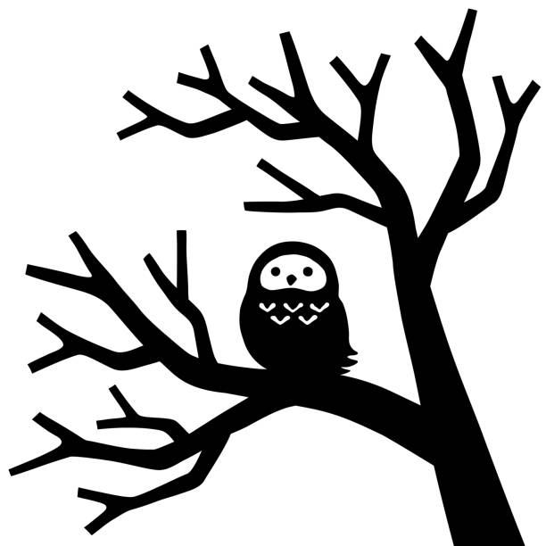 866 Cartoon Of A Leafless Tree Illustrations & Clip Art - iStock 866 Cartoon Of A Leafless Tree Illustrations & Clip Art - iStock