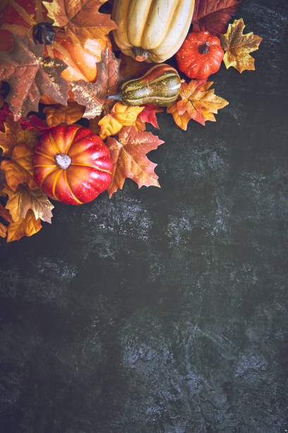 istock Autumn Decoration Background with Pumpkins, Leafs and Nuts 1271502428
