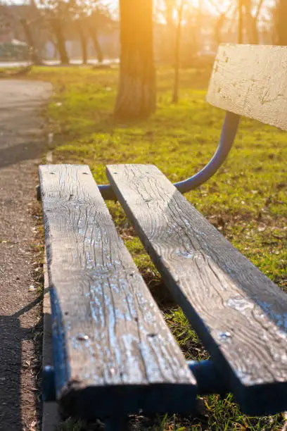 Old wooden park bench close-up on blurred green nature background. Relax backdrop for text sign, copy space banner with vertical orientation. Morning sun lights, calm tranquil wallpaper.