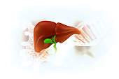 menschliche-leber-mit-dna-strang.jpg?b=1&s=170x170&k=20&c=gwDRjVUr6dgq8n2vVi6wiL2mPVXve7I6GkndEd9sRcU=