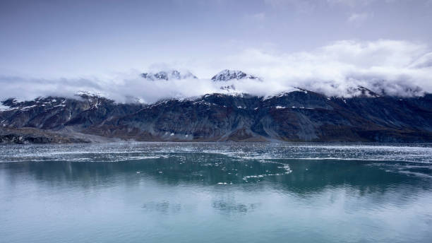 istock Cruise, sailing, alaska, glacier bay, national park 1271503459