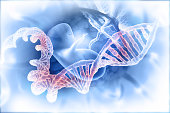 Fetus and dna  on abstract scientific background
