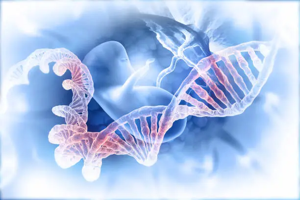 Photo of Fetus and dna  on abstract scientific background