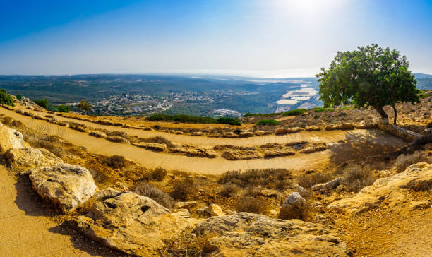 istock Panoramic view of Western Galilee landscape, in Adamit Park 1271504356