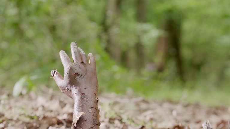 O que é areia movediça? Ela é mesmo perigosa?