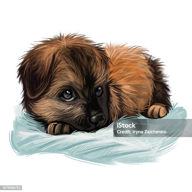 Kunming Wolfdog Chinese Dog Digital Art Illustration Canine Of Hybrid Type Canis Lupus Familiaris Originated From China Domesticated Animal Sleeping Calmly On Pillow Trailed Military Puppy Stock Illustration - Download Image Now