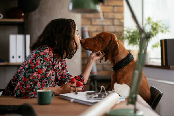 istock Young woman eating fruit while enjoying with dog 1271509772