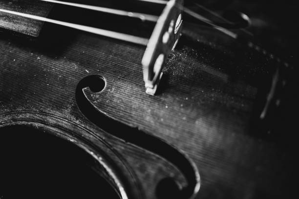 el viejo violín - musical instrument string music dark old fashioned fotografías e imágenes de stock
