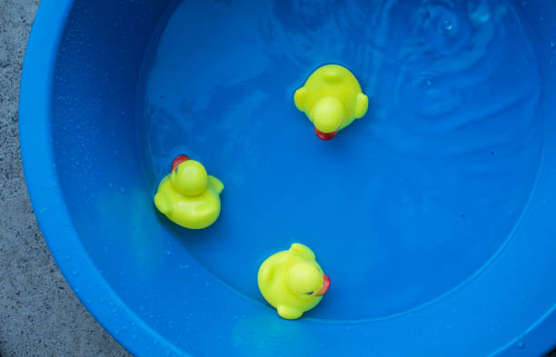 un patito amarillo juguetes en una cuenca en el agua - waterbirds fotografías e imágenes de stock