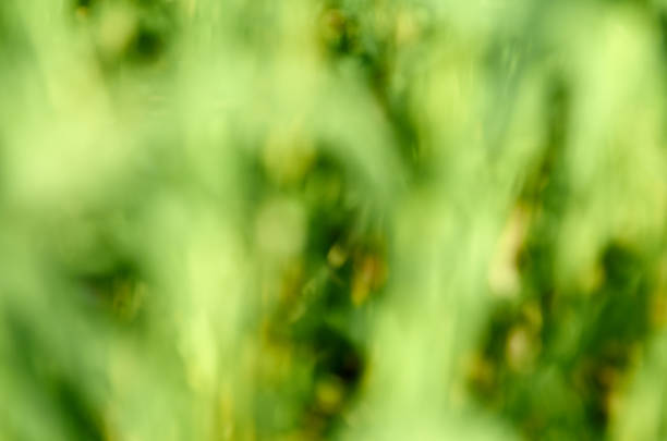 istock Under the bright sun. Abstract natural backgrounds 1271511209