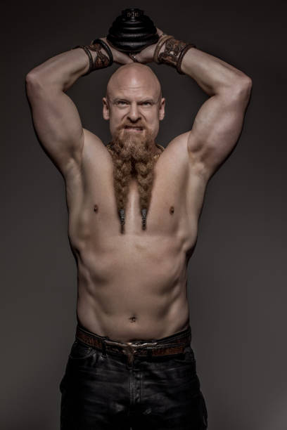 istock Portrait of a Warrior King 1271511407