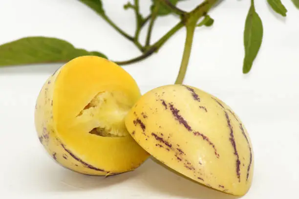 Pear melon Pepino Solanum muricatum exempted on white background