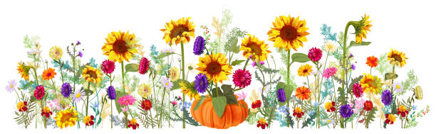 Horizontal autumn’s border: sunflowers, aster, thistles, gerbera, marigold, daisy flowers, small green twigs on white background. Digital draw, illustration in watercolor style, panoramic view, vector Horizontal autumn’s border: sunflowers, aster, thistles, gerbera, marigold, daisy flowers, small green twigs on white background. Digital draw, illustration in watercolor style, panoramic view, vector wallpaper pattern retro revival autumn leaf stock illustrations